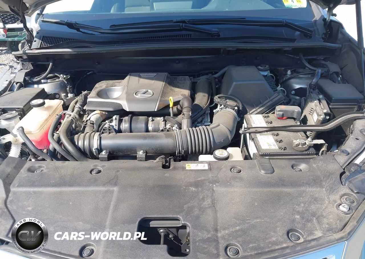 2019 Lexus Nx 300 VIN:JTJBARBZ1K2211315 - 10