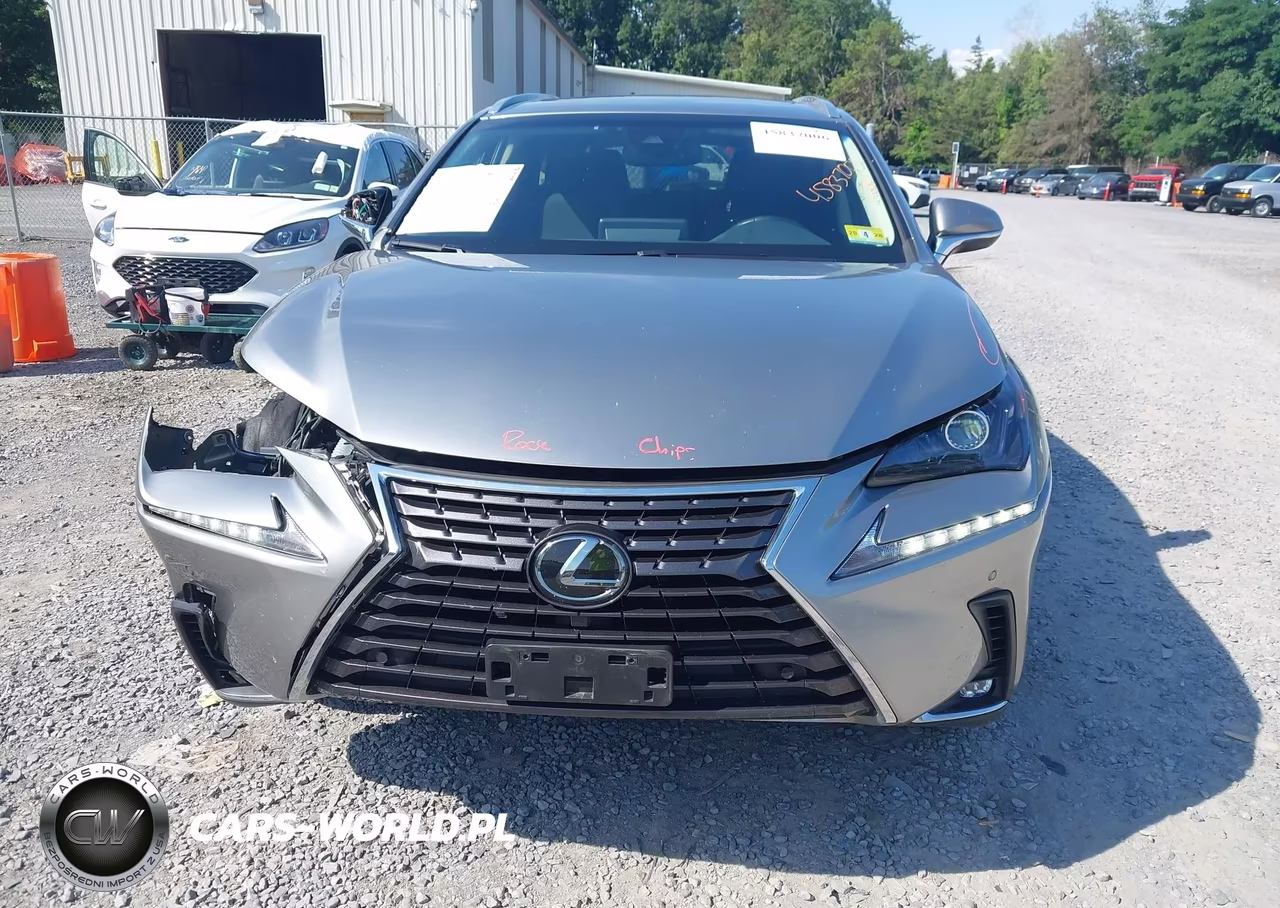 2019 Lexus Nx 300 VIN:JTJBARBZ1K2211315 - 12