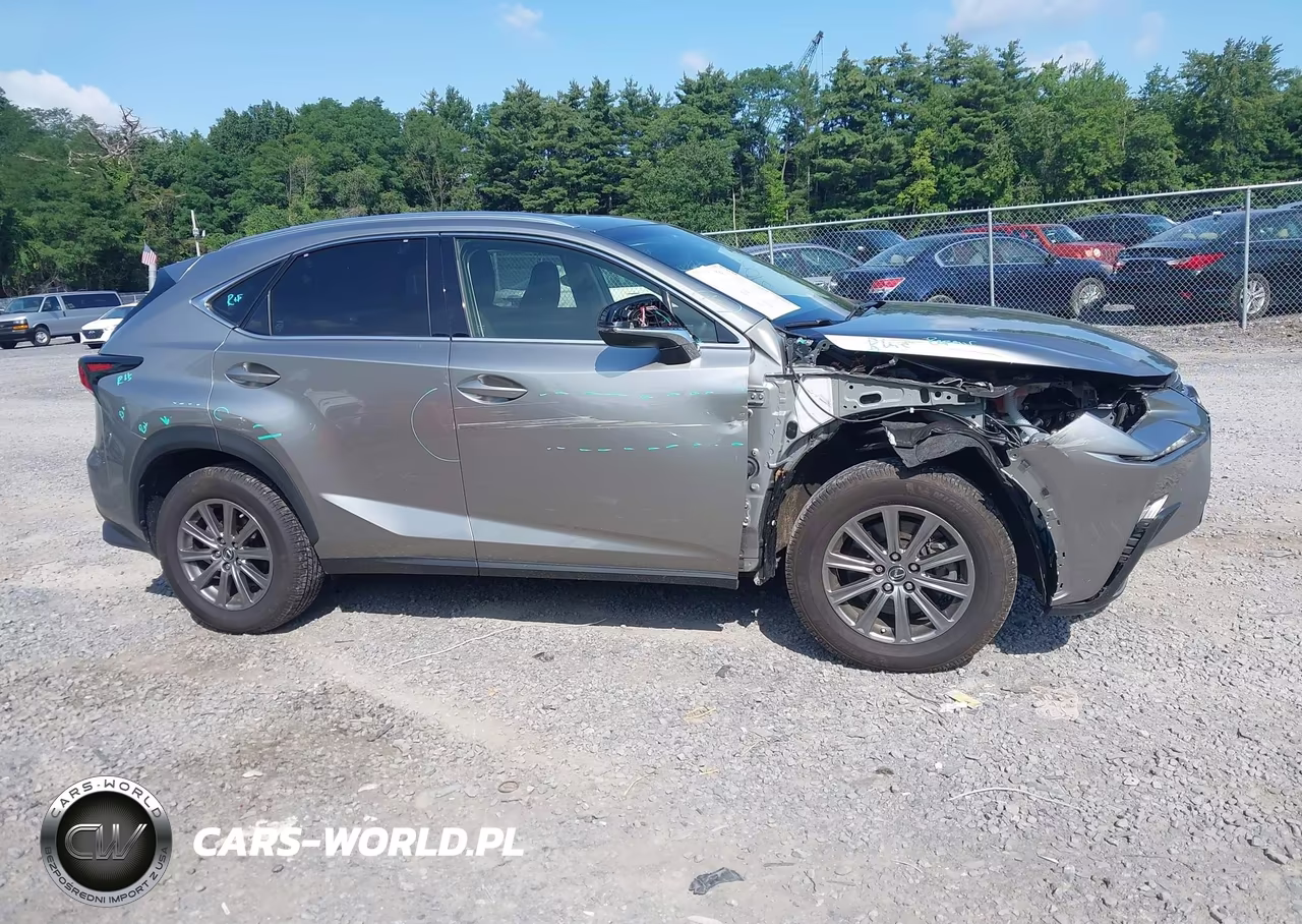 2019 Lexus Nx 300 VIN:JTJBARBZ1K2211315 - 13