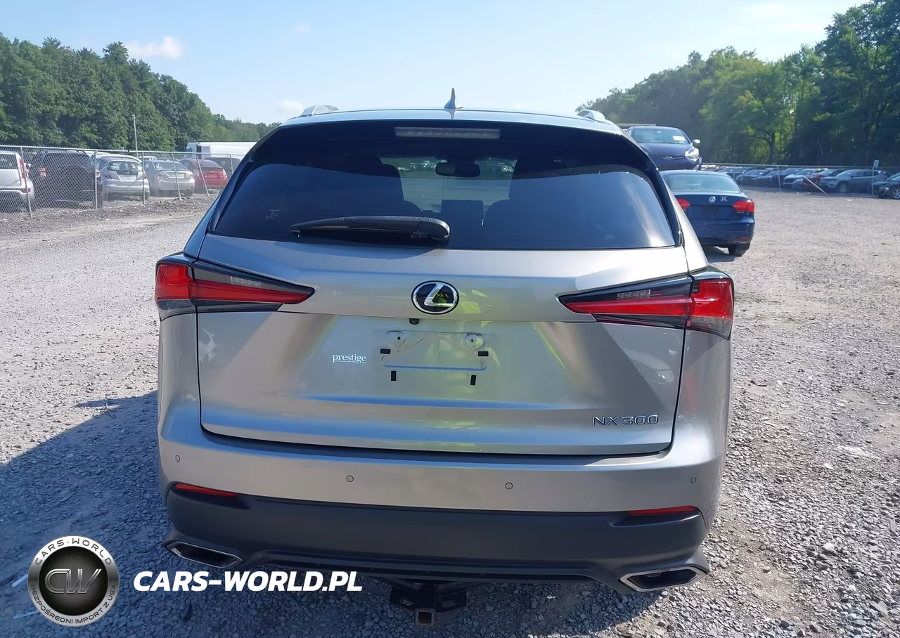 2019 Lexus Nx 300 VIN:JTJBARBZ1K2211315 - 16