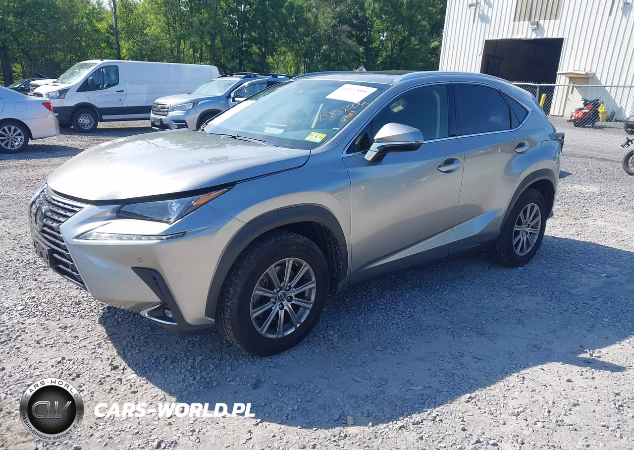 2019 Lexus Nx 300 VIN:JTJBARBZ1K2211315 - 2