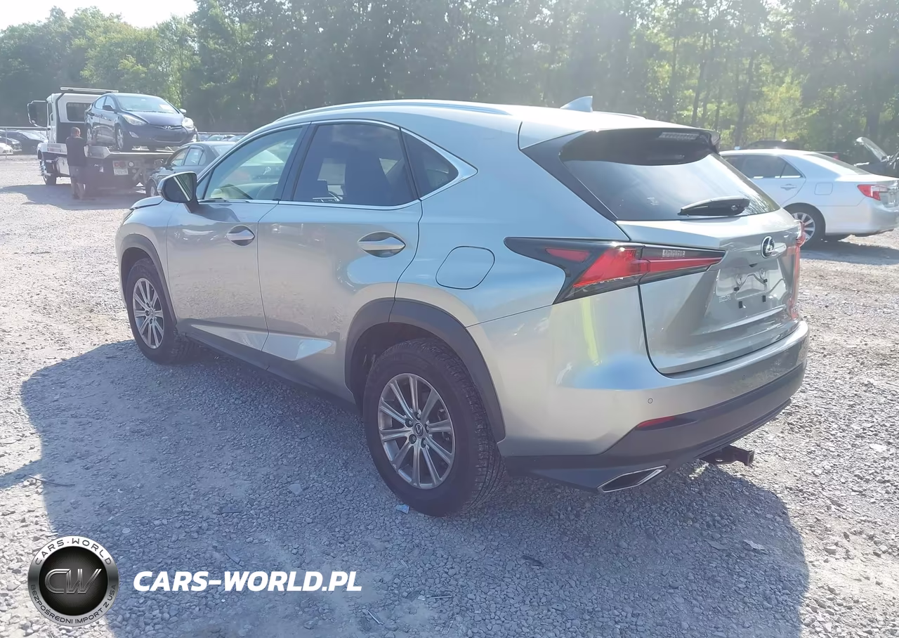 2019 Lexus Nx 300 VIN:JTJBARBZ1K2211315 - 3