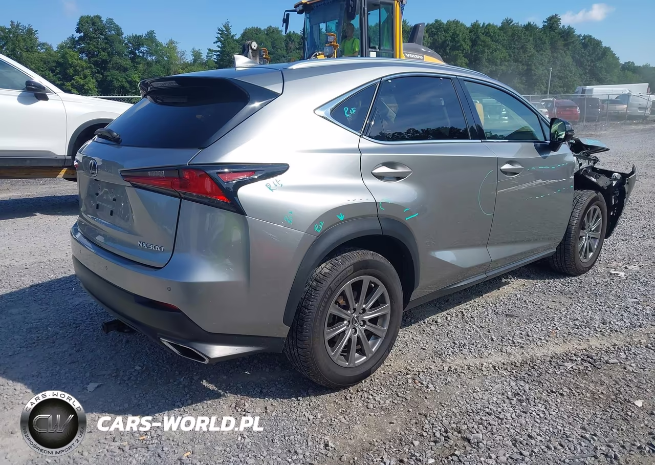 2019 Lexus Nx 300 VIN:JTJBARBZ1K2211315 - 4