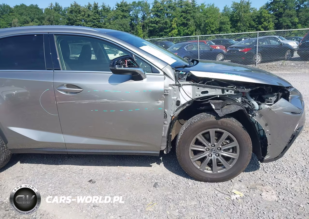 2019 Lexus Nx 300 VIN:JTJBARBZ1K2211315 - 6