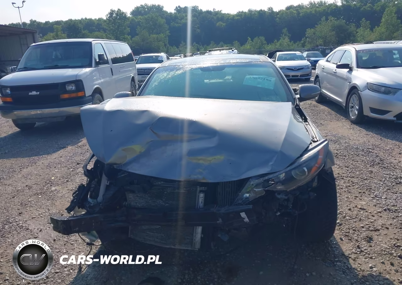 2014 Kia Optima Sx Turbo VIN:5XXGR4A66EG329208 - 12