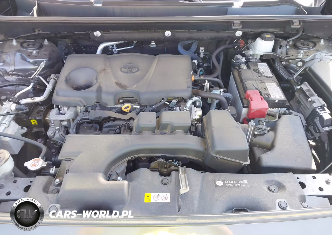 2023 Toyota Rav4 Xle VIN:2T3W1RFV8PW292307 - 10