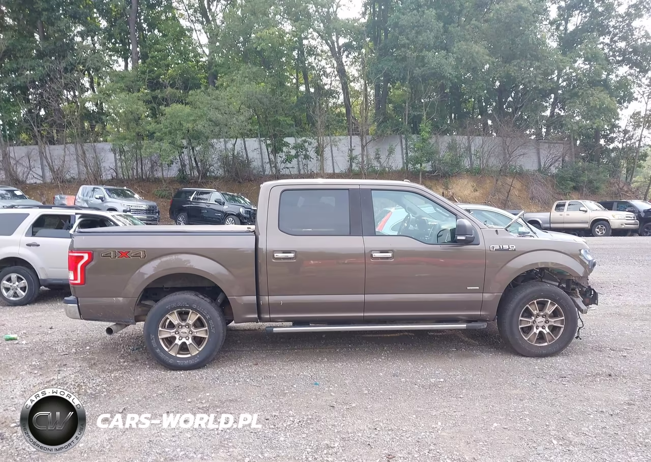 2016 Ford F-150 Xlt VIN:1FTEW1EP9GFC57813 - 13