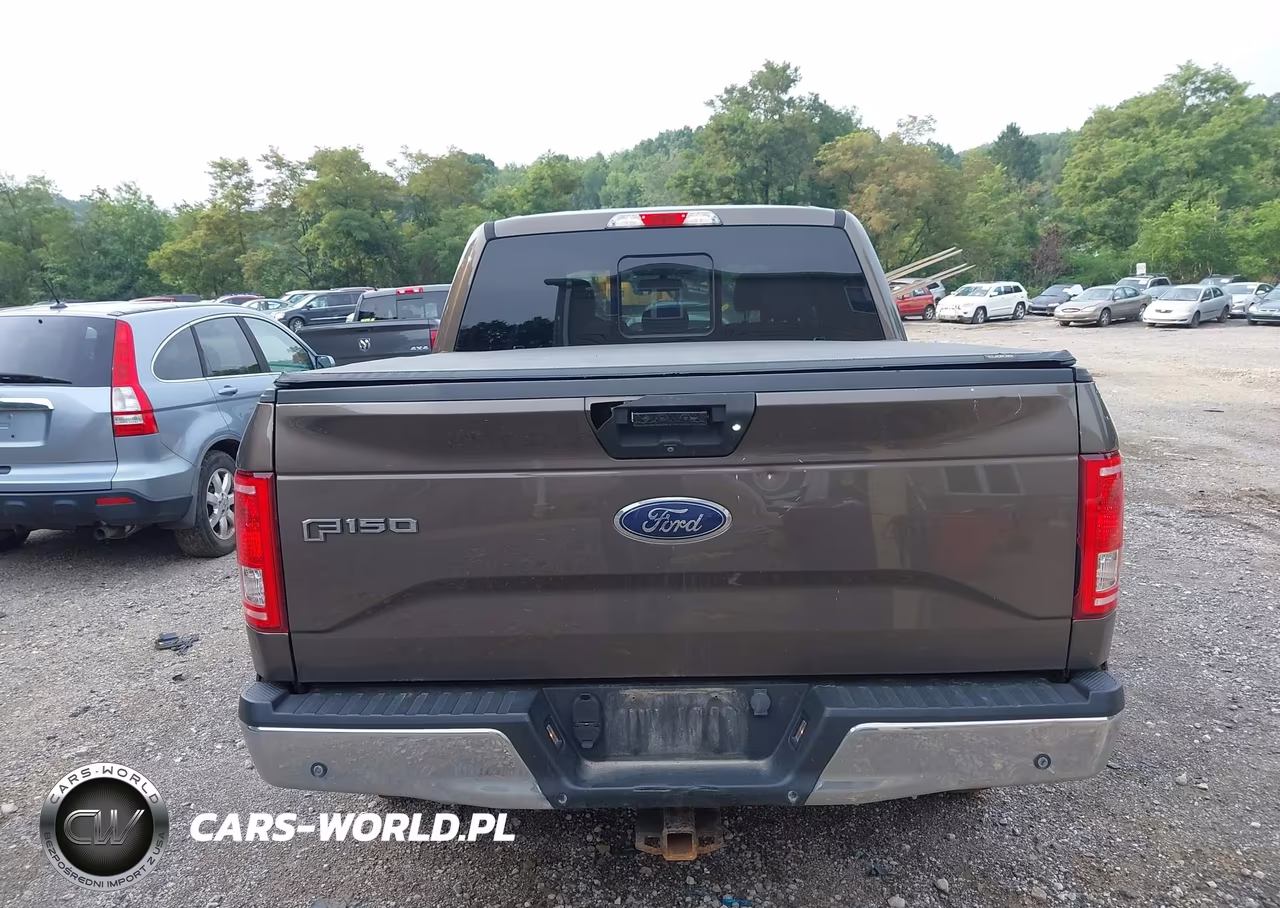 2016 Ford F-150 Xlt VIN:1FTEW1EP9GFC57813 - 16