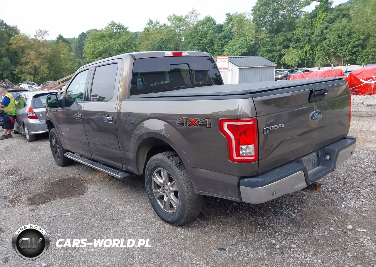 2016 Ford F-150 Xlt VIN:1FTEW1EP9GFC57813 - 3