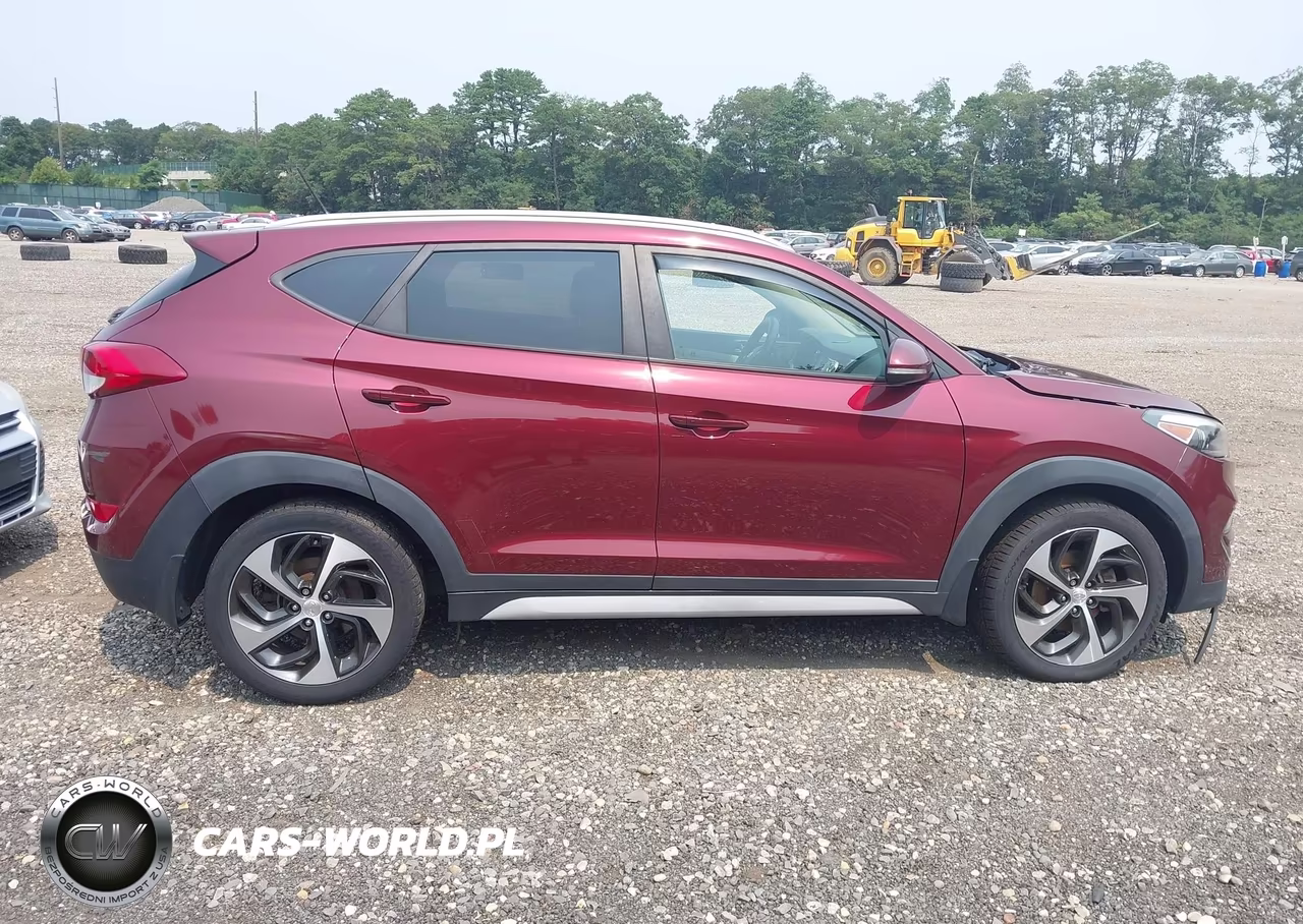 2017 Hyundai Tucson Sport VIN:KM8J3CA29HU465213 - 13