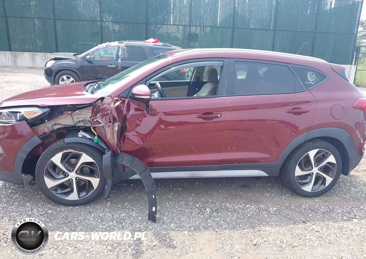 2017 Hyundai Tucson Sport VIN:KM8J3CA29HU465213 - 14