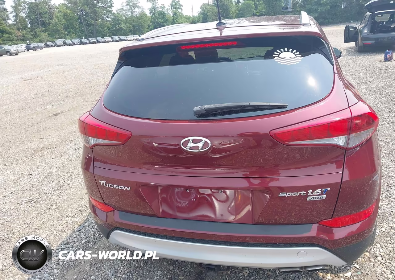 2017 Hyundai Tucson Sport VIN:KM8J3CA29HU465213 - 16
