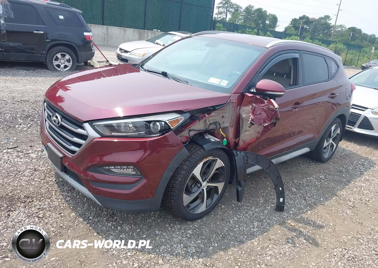 2017 Hyundai Tucson Sport VIN:KM8J3CA29HU465213 - 2