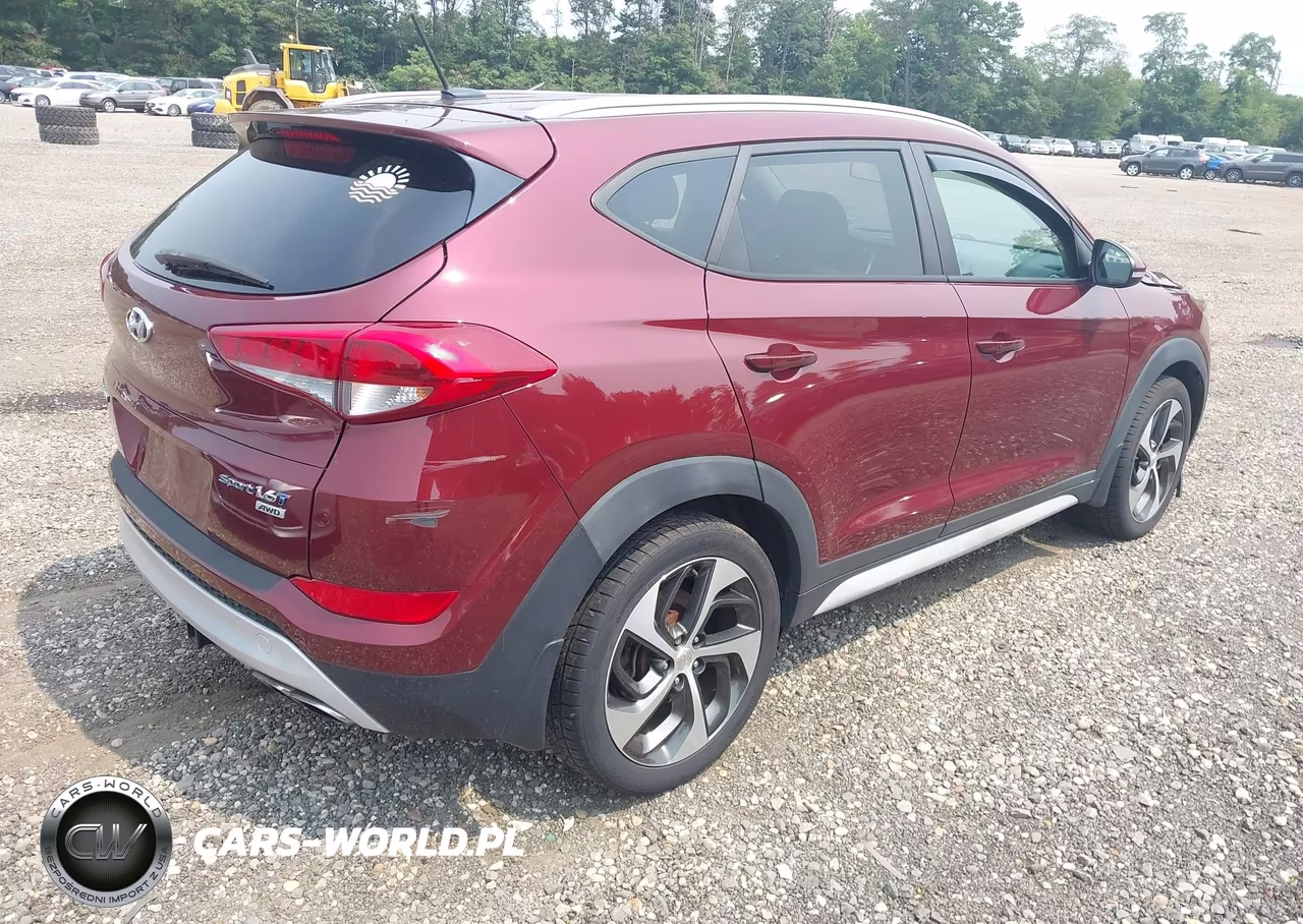 2017 Hyundai Tucson Sport VIN:KM8J3CA29HU465213 - 4