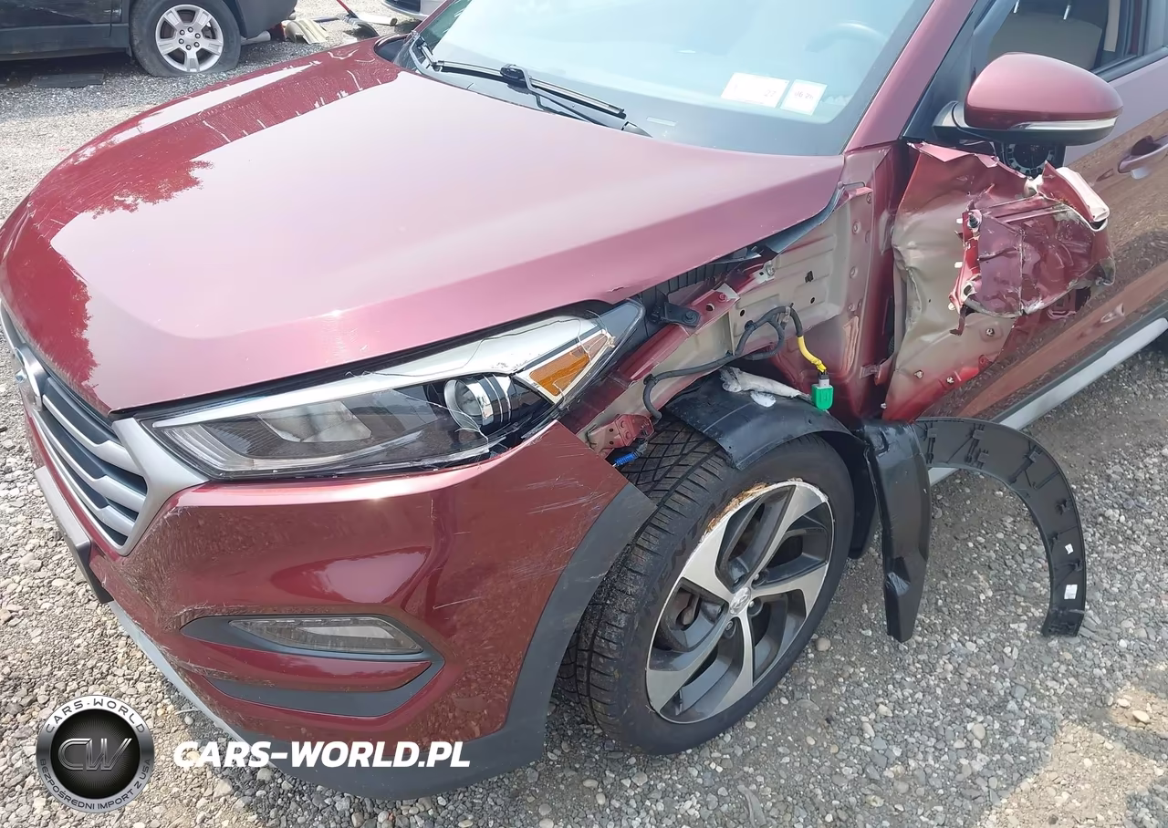 2017 Hyundai Tucson Sport VIN:KM8J3CA29HU465213 - 6