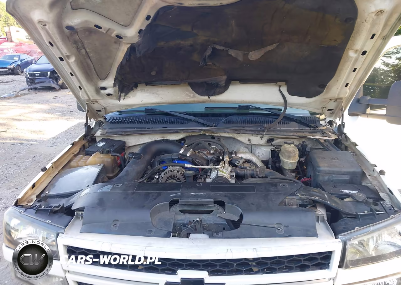 2005 Chevrolet Silverado 3500 Chassis Work Truck VIN:1GBJK39225E269443 - 9