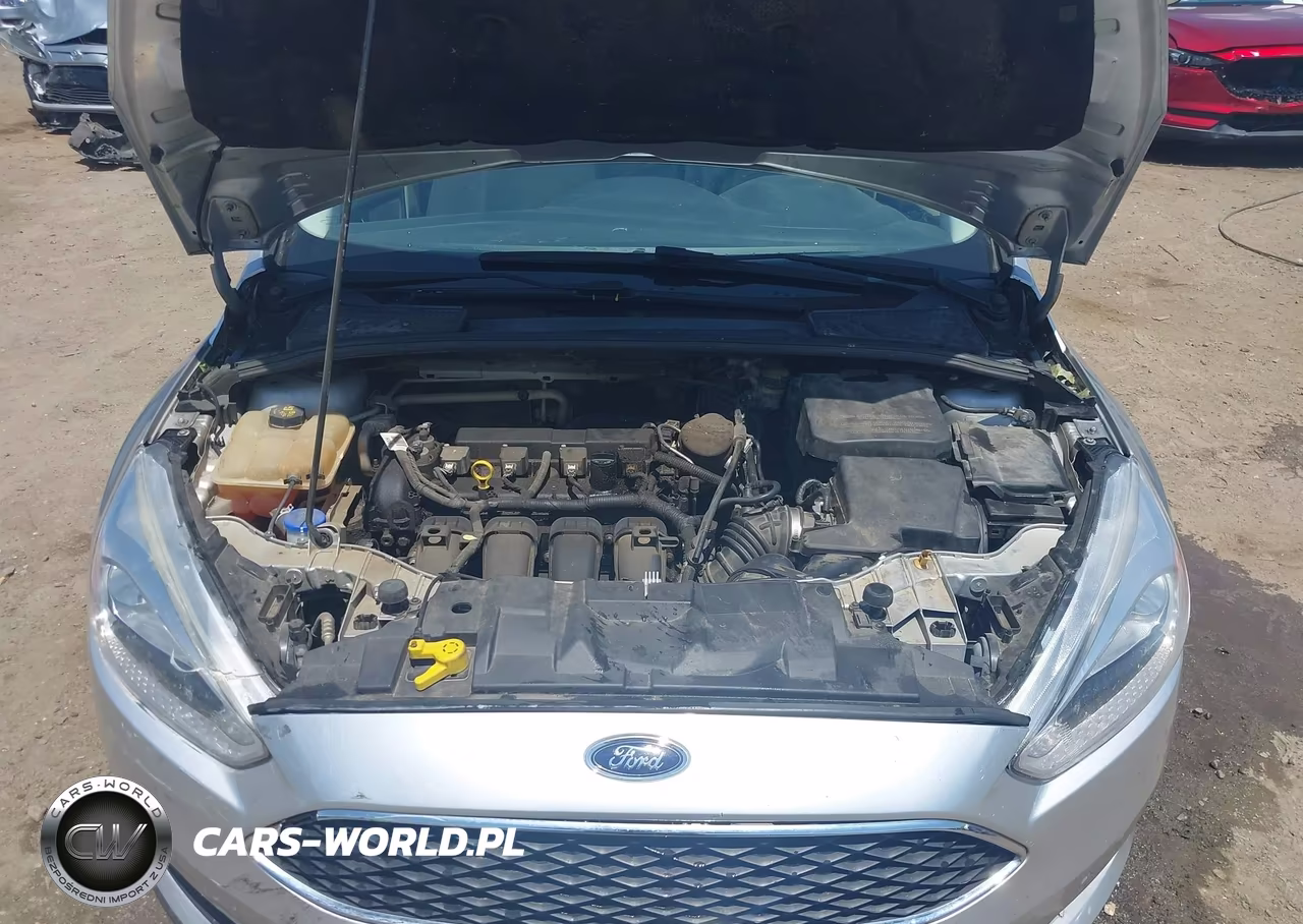 2015 Ford Focus Se VIN:1FADP3F24FL304405 - 10