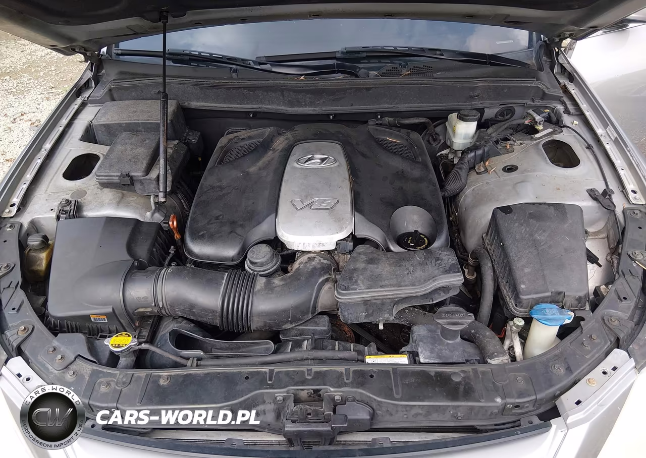 2009 Hyundai Genesis 4.6 VIN:KMHGC46F99U058750 - 10