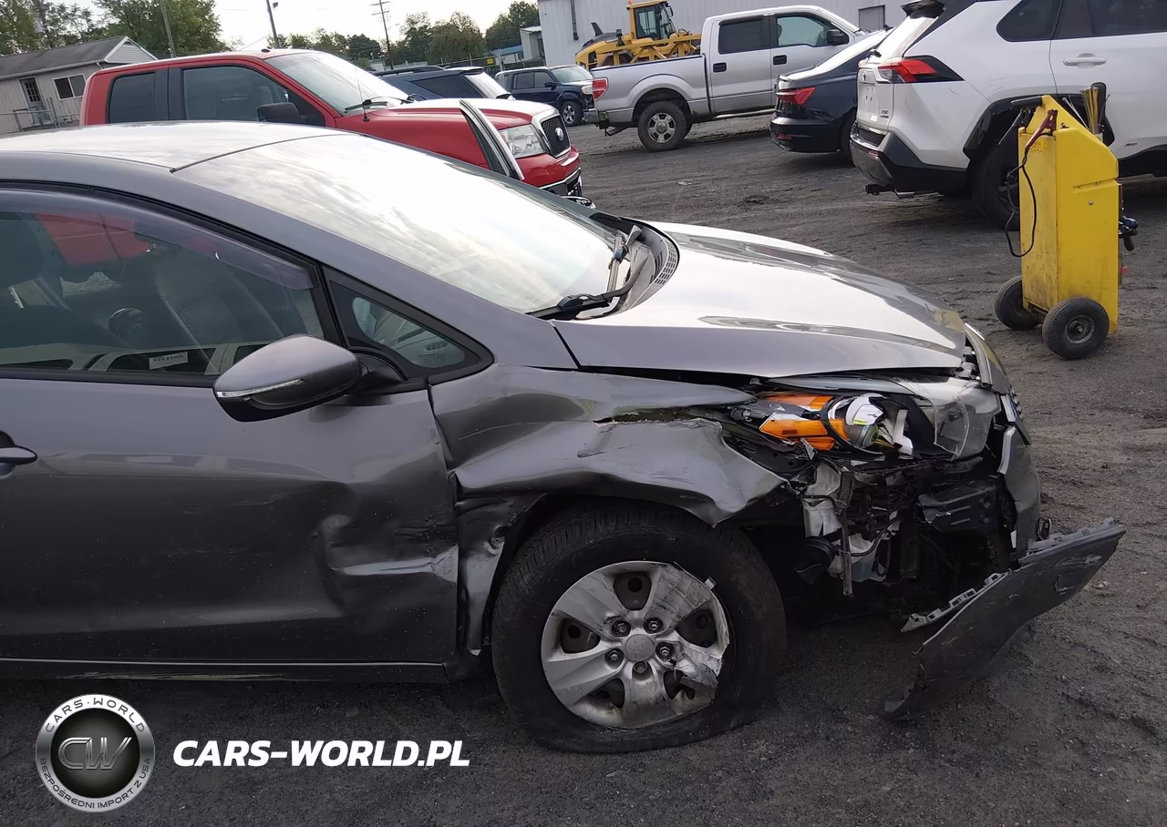 2016 Kia Forte Lx VIN:KNAFX4A65G5513030 - 6