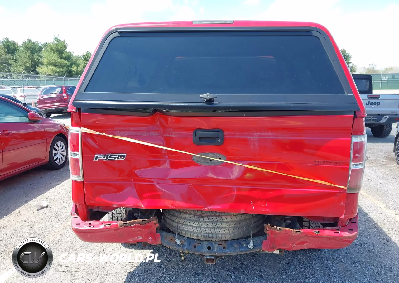 2010 Ford F-150 Stx-Xl VIN:1FTEX1EW2AFD53102 - 16