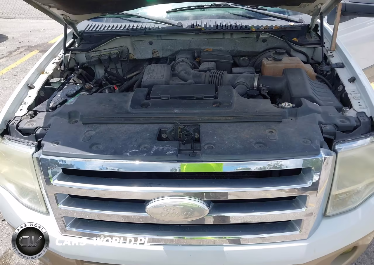 2009 Ford Expedition Eddie Bauer VIN:1FMFU17549EB20496 - 10