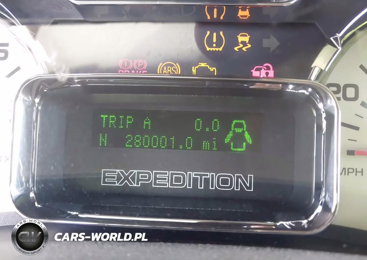 2009 Ford Expedition Eddie Bauer VIN:1FMFU17549EB20496 - 13