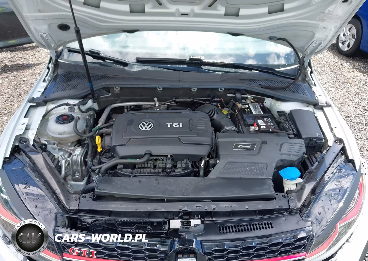 2019 Volkswagen Golf Gti 2.0T Autobahn-2.0T Rabbit Edition-2.0T S-2.0T Se VIN:3VW6T7AUXKM035623 - 10