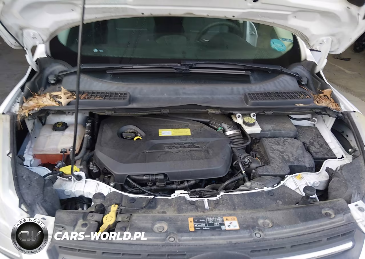 2014 Ford Escape Se VIN:1FMCU0GX0EUB65417 - 10