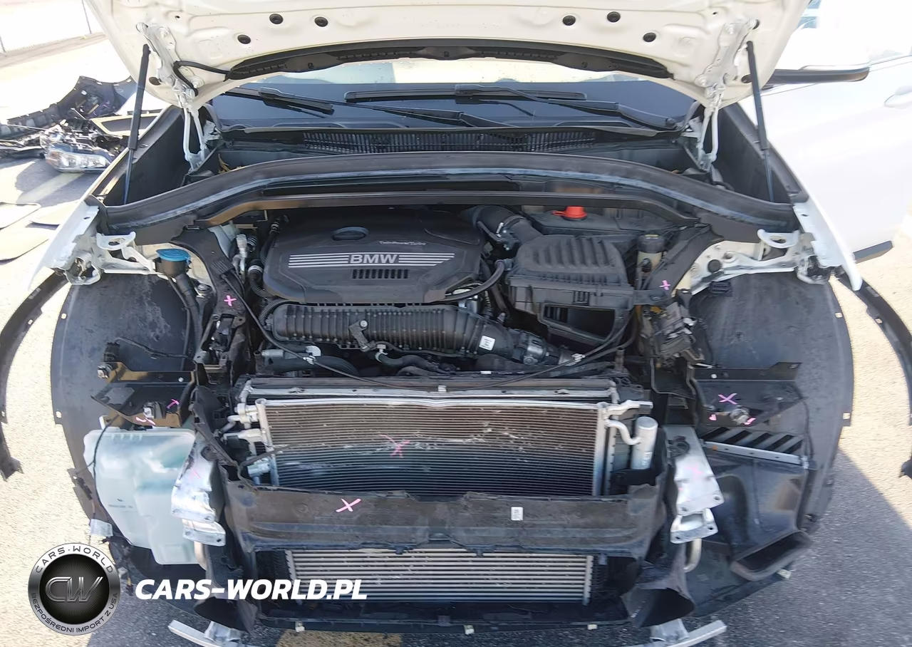 2020 BMW X1 Sdrive28I VIN:WBXJG7C03L5P67985 - 10