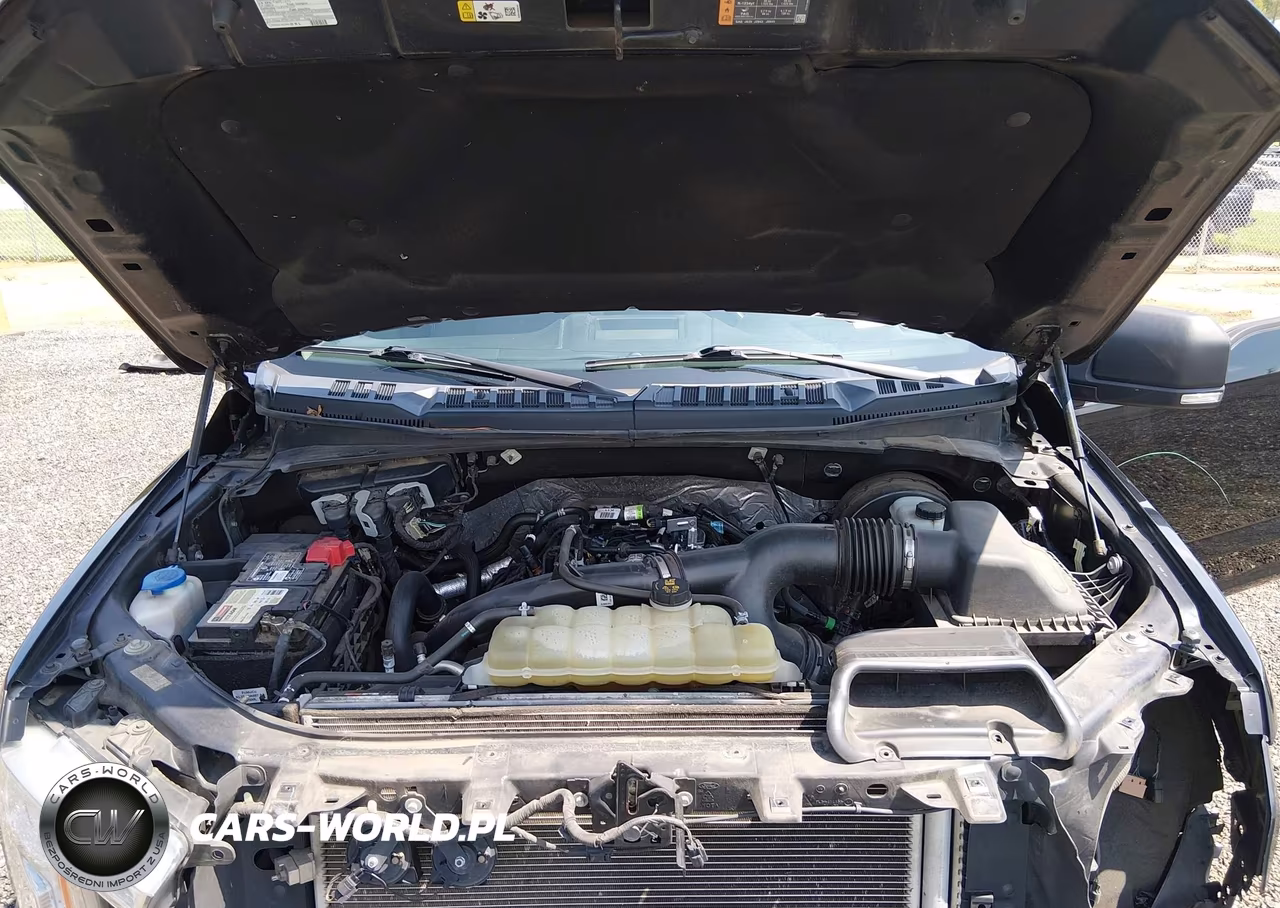 2019 Ford F-150 Xlt VIN:1FTEW1CP3KFD49267 - 10