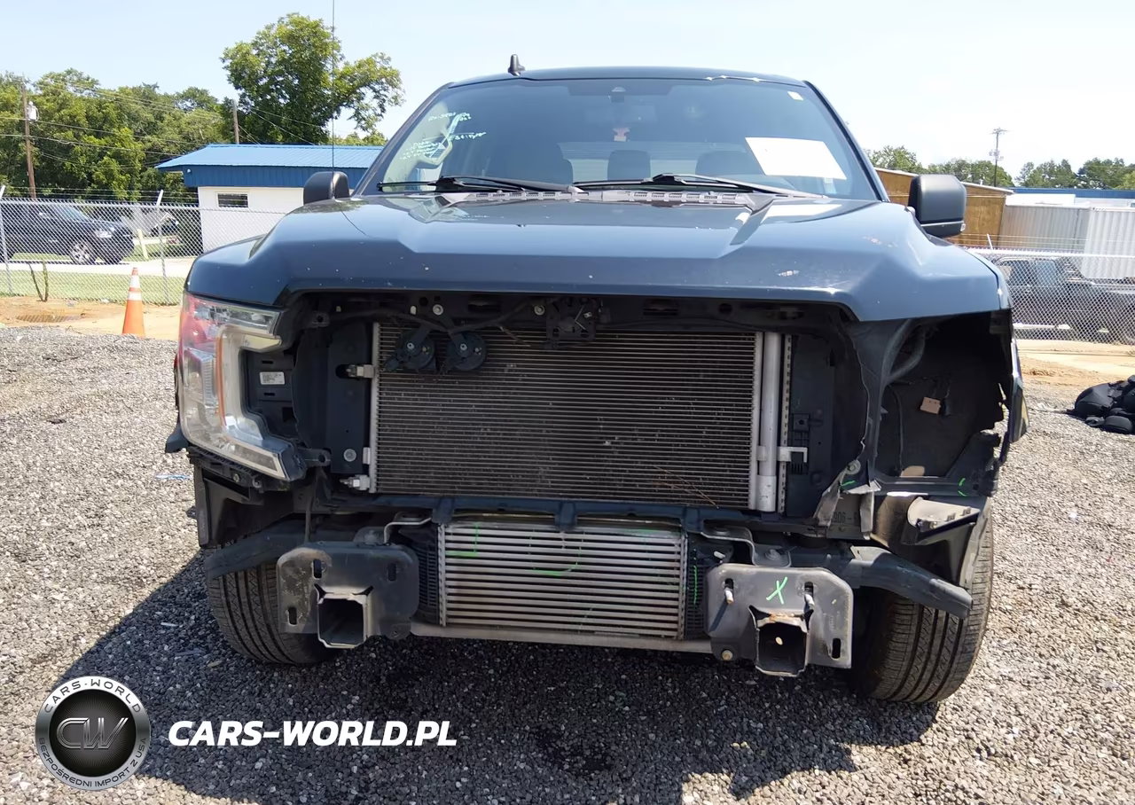 2019 Ford F-150 Xlt VIN:1FTEW1CP3KFD49267 - 12