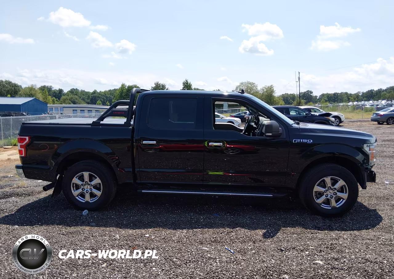2019 Ford F-150 Xlt VIN:1FTEW1CP3KFD49267 - 13