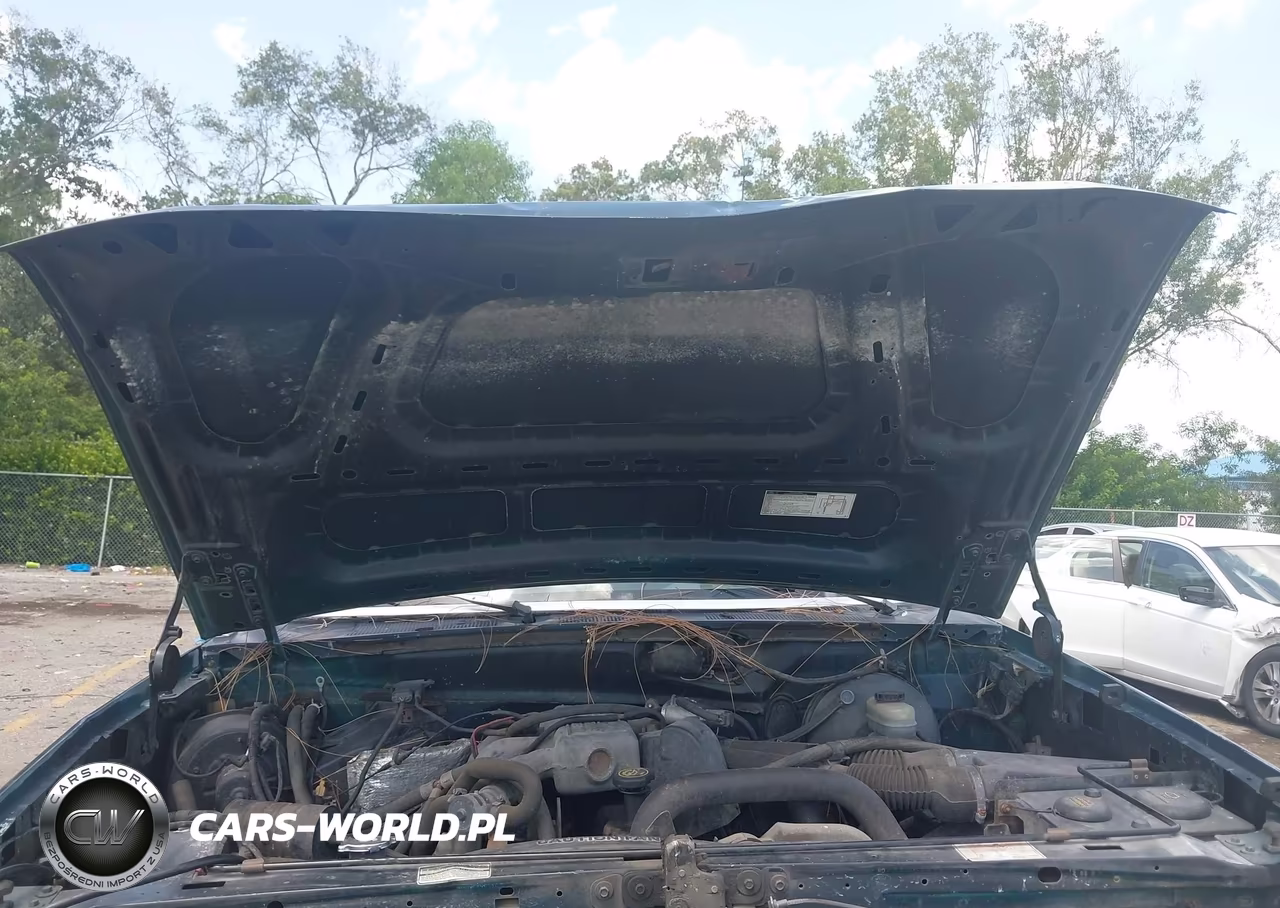 1993 Ford F150 VIN:1FTEF15Y4PNB05971 - 10