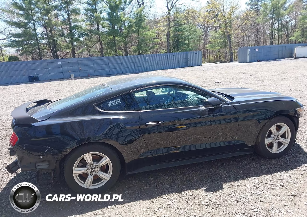 2017 Ford Mustang VIN:1FA6P8AM3H5202597 - 13