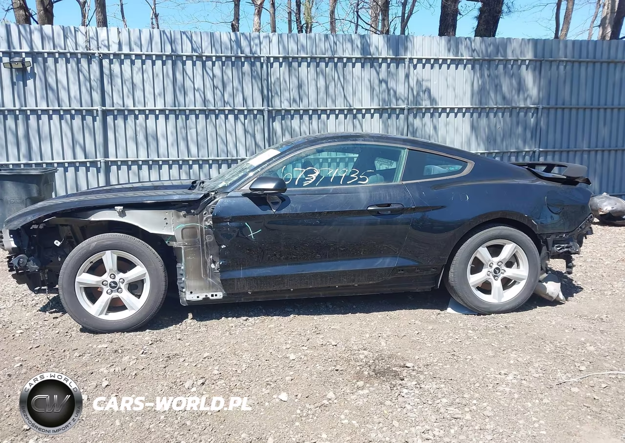 2017 Ford Mustang VIN:1FA6P8AM3H5202597 - 14