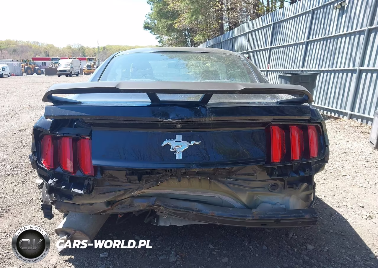 2017 Ford Mustang VIN:1FA6P8AM3H5202597 - 16
