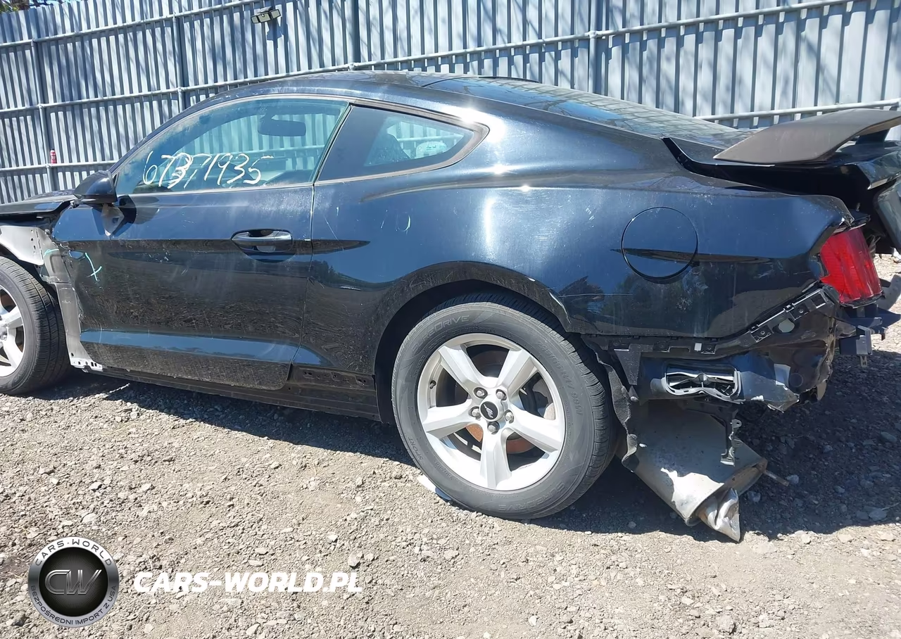 2017 Ford Mustang VIN:1FA6P8AM3H5202597 - 19
