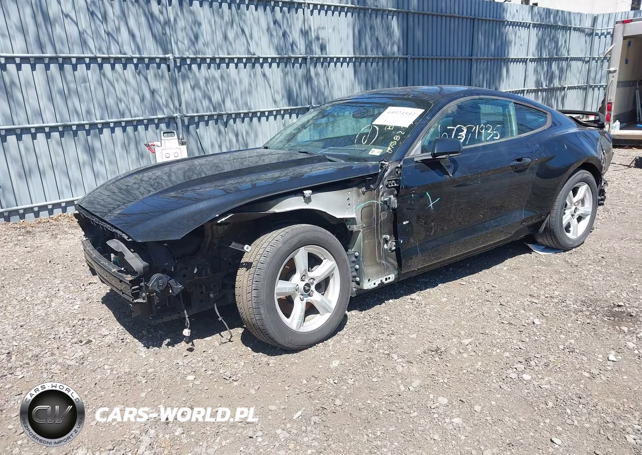 2017 Ford Mustang VIN:1FA6P8AM3H5202597 - 2