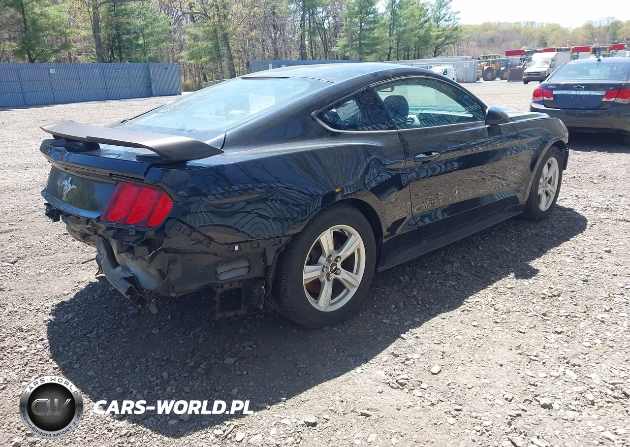 2017 Ford Mustang VIN:1FA6P8AM3H5202597 - 4