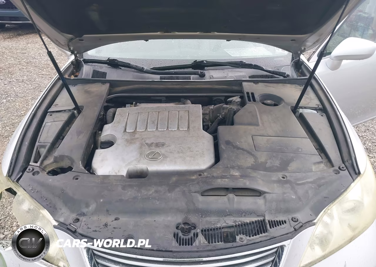 2009 Lexus Es 350 VIN:JTHBJ46GX92316975 - 10