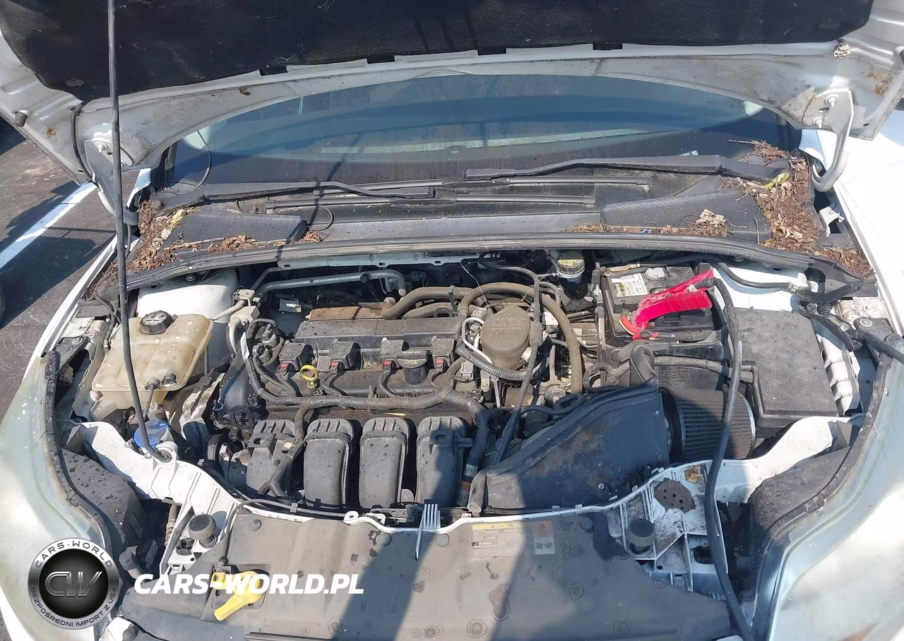 2013 Ford Focus Se VIN:1FADP3K26DL274875 - 10