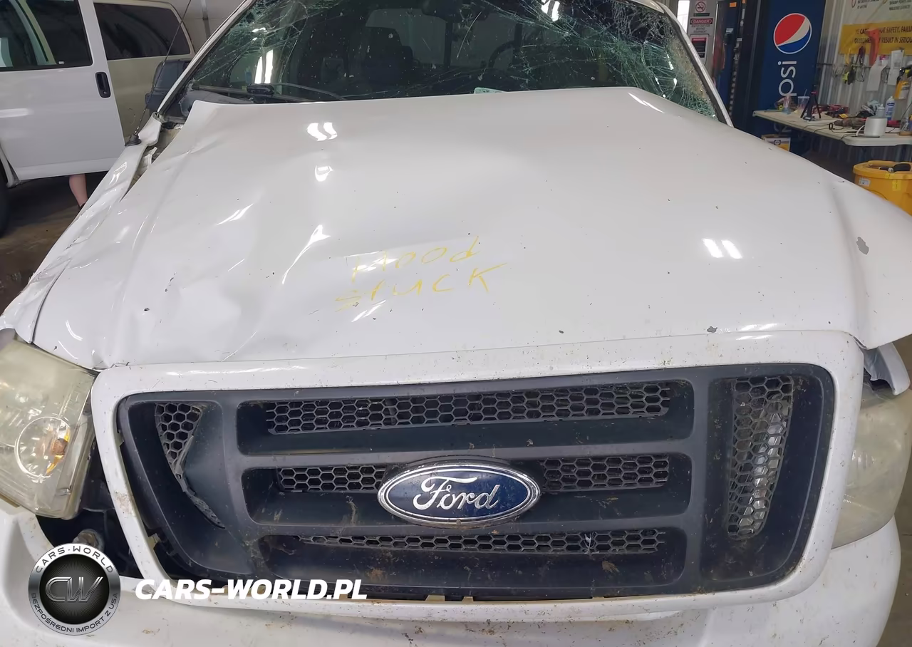 2004 Ford F-150 Fx4-Lariat-Xl-Xlt VIN:1FTPX14534NC55174 - 10