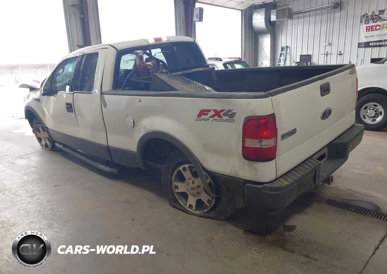 2004 Ford F-150 Fx4-Lariat-Xl-Xlt VIN:1FTPX14534NC55174 - 3