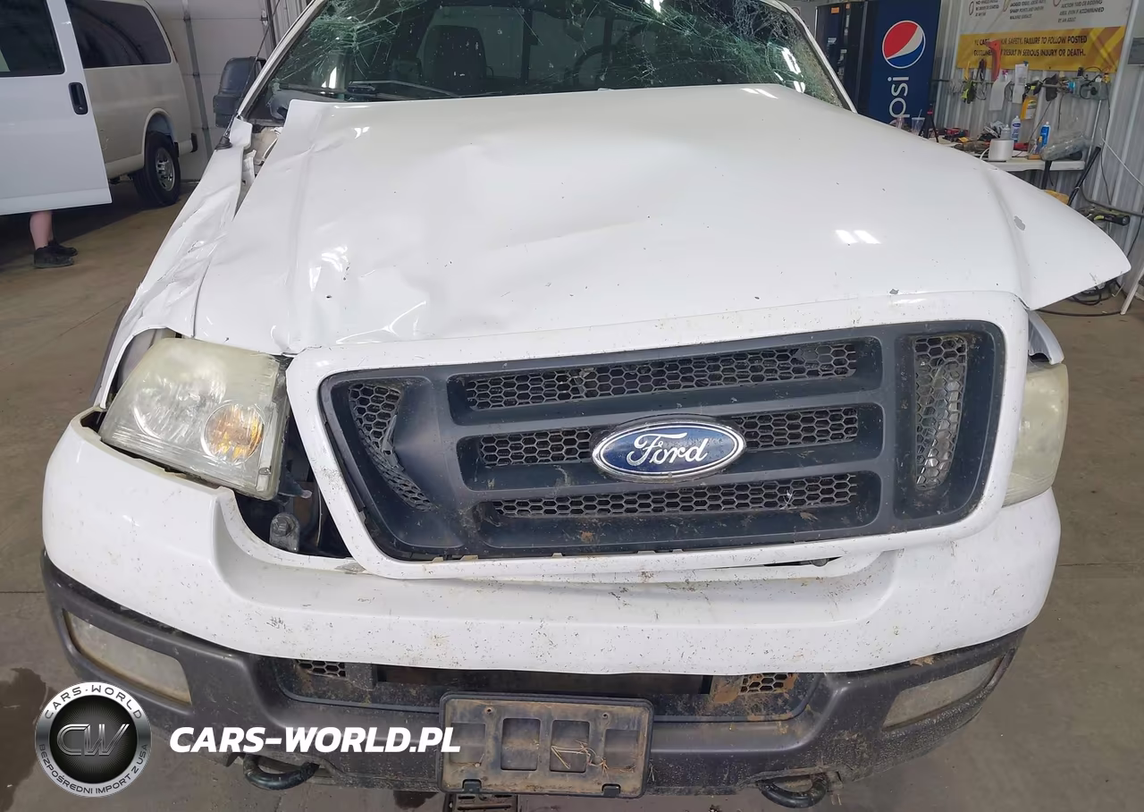2004 Ford F-150 Fx4-Lariat-Xl-Xlt VIN:1FTPX14534NC55174 - 6