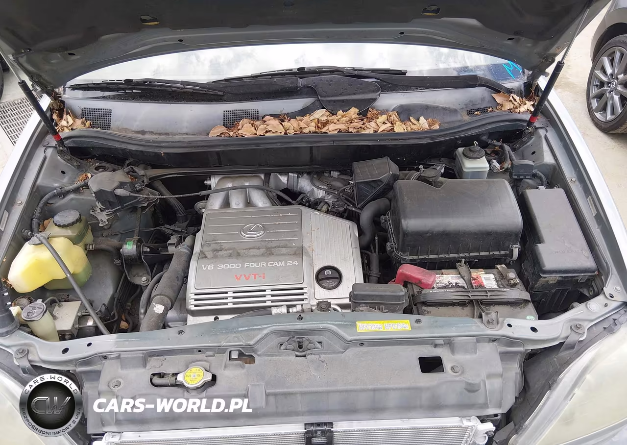 2000 Lexus Rx 300 VIN:JT6GF10U8Y0050301 - 10