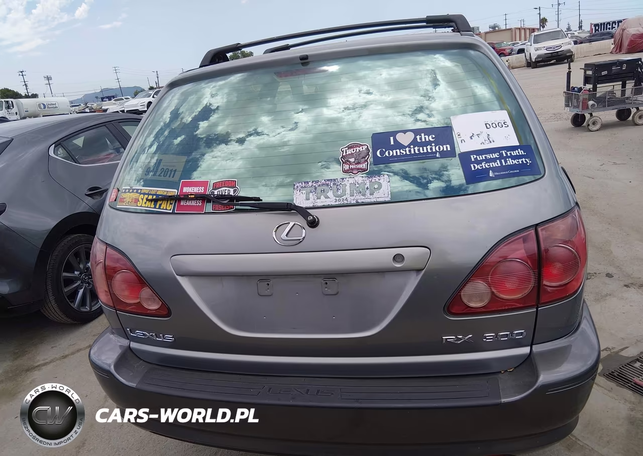 2000 Lexus Rx 300 VIN:JT6GF10U8Y0050301 - 16