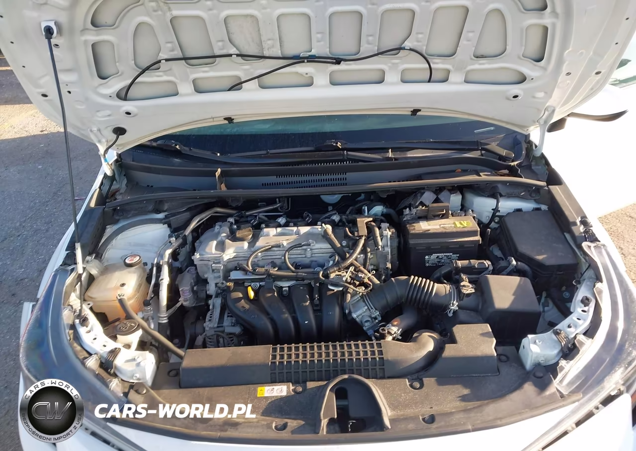 2021 Toyota Corolla Le VIN:5YFEPMAE5MP210110 - 10