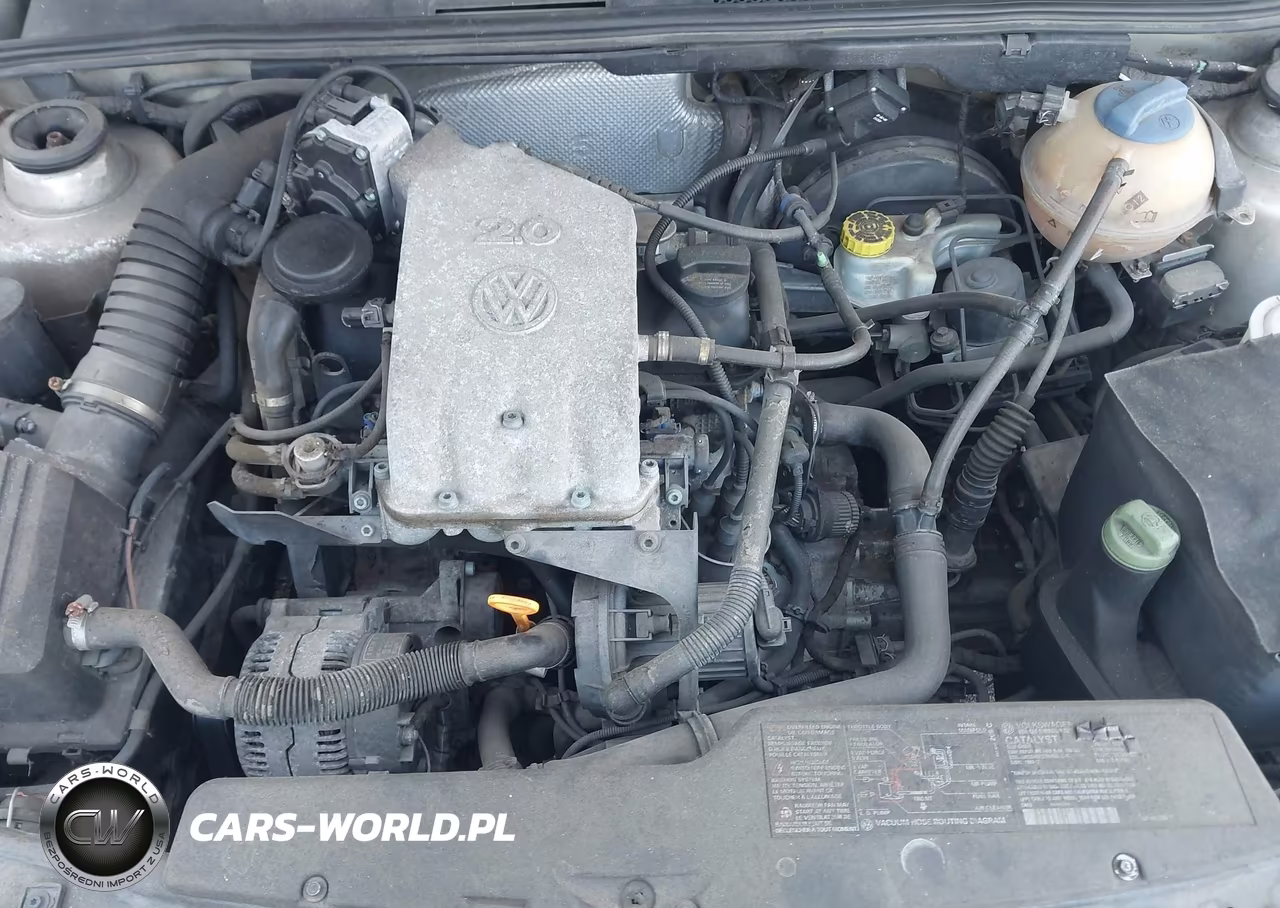 2001 Volkswagen Cabrio VIN:3VWDC21V1M805905 - 10