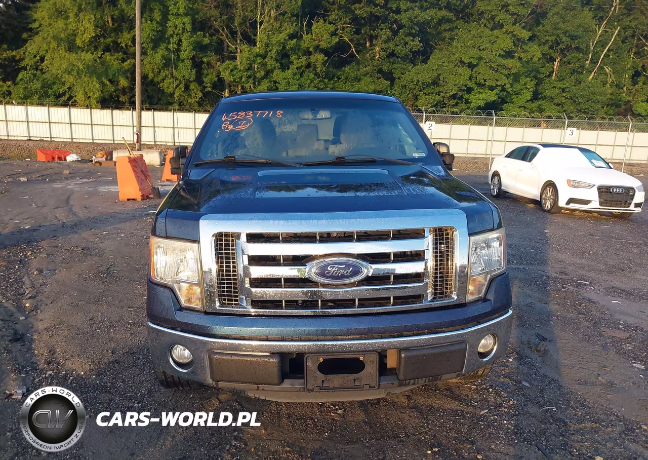 2013 Ford F-150 Xlt VIN:1FTFW1CF0DKE94403 - 12