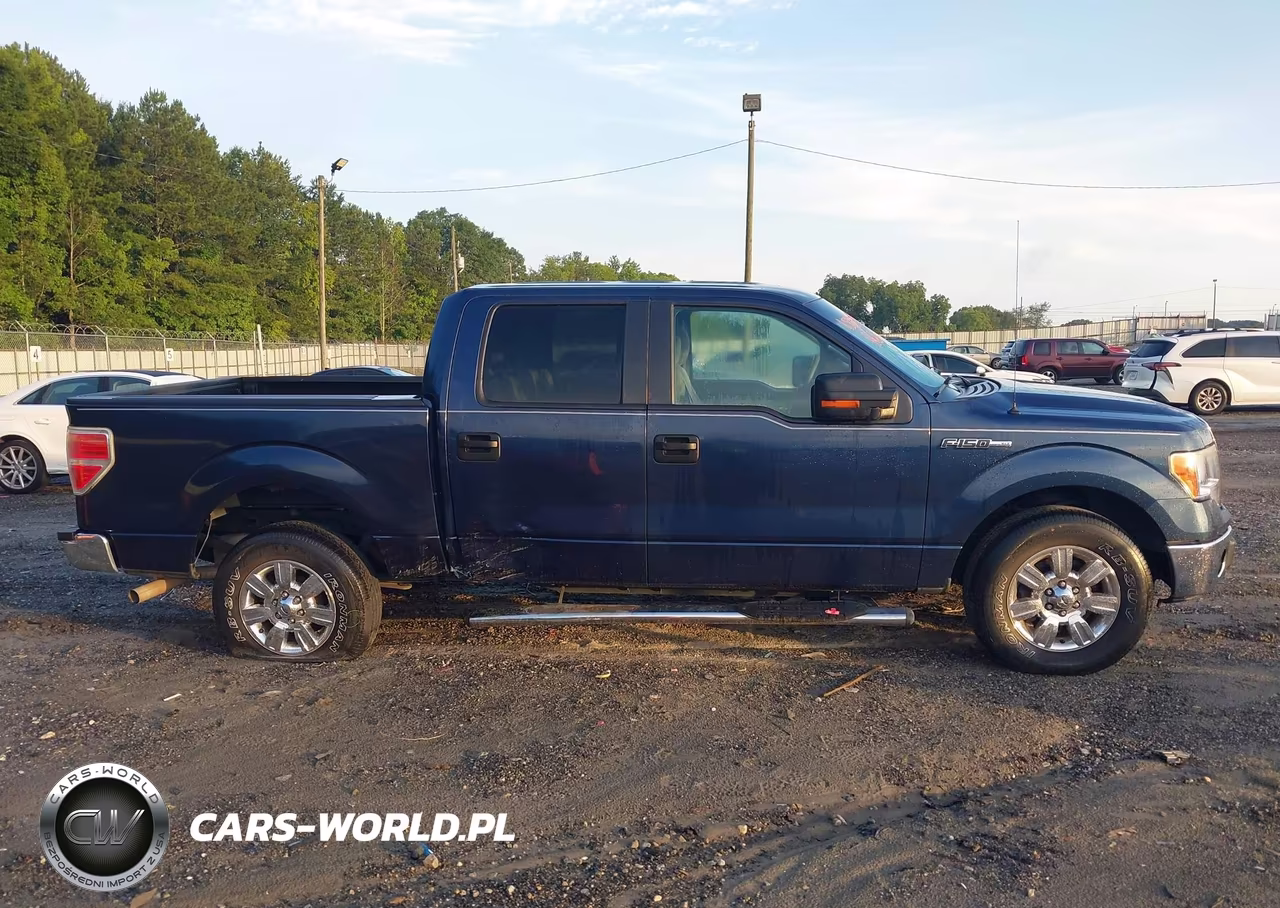 2013 Ford F-150 Xlt VIN:1FTFW1CF0DKE94403 - 13